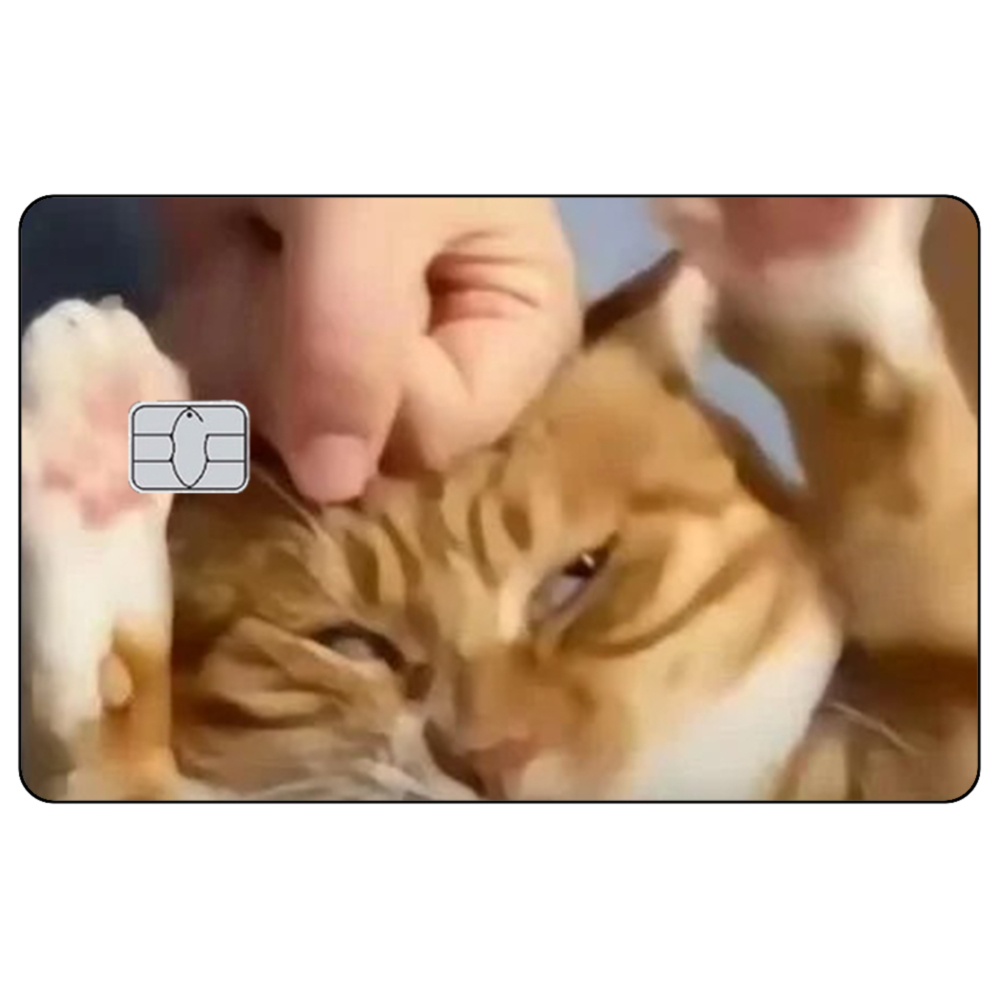 귀여운 고양이 밈 신용카드 스킨 스티커 고양이 포스팅  - Badminton Meme 리뷰 및 가격